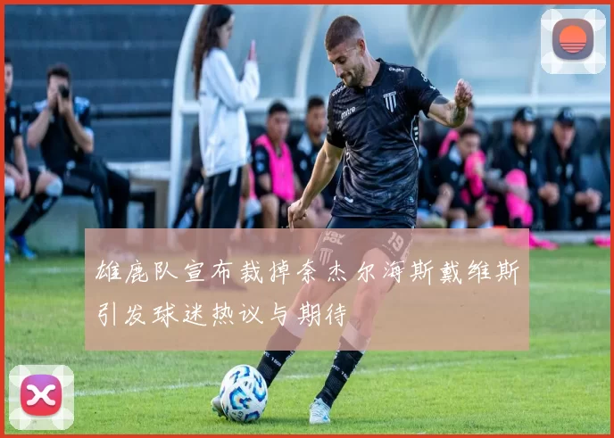 雄鹿队宣布裁掉奈杰尔海斯戴维斯引发球迷热议与期待